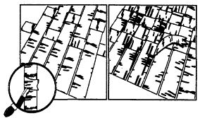 Иллюстрация к книге — Школа выживания. Как избежать голодной смерти [_290.jpg]