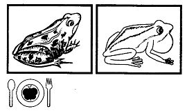 Иллюстрация к книге — Школа выживания. Как избежать голодной смерти [_294.jpg]