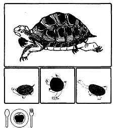 Иллюстрация к книге — Школа выживания. Как избежать голодной смерти [_297.jpg]