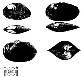 Иллюстрация к книге — Школа выживания. Как избежать голодной смерти [_298.jpg]