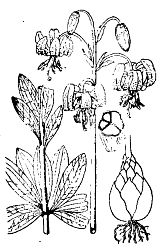 Иллюстрация к книге — Школа выживания. Как избежать голодной смерти [_30.jpg]