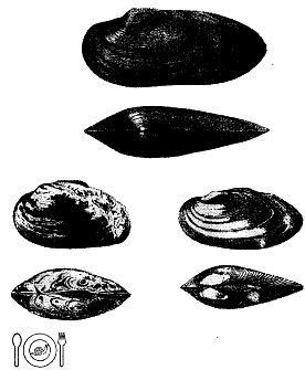 Иллюстрация к книге — Школа выживания. Как избежать голодной смерти [_305.jpg]