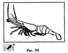 Иллюстрация к книге — Школа выживания. Как избежать голодной смерти [_326.jpg]