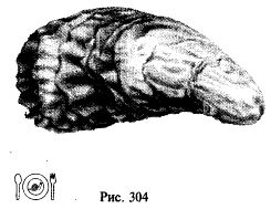 Иллюстрация к книге — Школа выживания. Как избежать голодной смерти [_329.jpg]