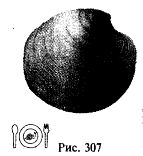 Иллюстрация к книге — Школа выживания. Как избежать голодной смерти [_332.jpg]