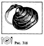 Иллюстрация к книге — Школа выживания. Как избежать голодной смерти [_343.jpg]