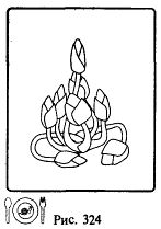 Иллюстрация к книге — Школа выживания. Как избежать голодной смерти [_349.jpg]