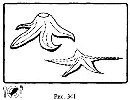 Иллюстрация к книге — Школа выживания. Как избежать голодной смерти [_366.jpg]