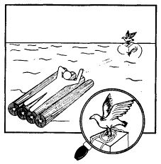 Иллюстрация к книге — Школа выживания. Как избежать голодной смерти [_367.jpg]