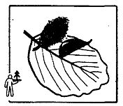 Иллюстрация к книге — Школа выживания. Как избежать голодной смерти [_37.jpg]