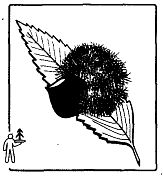 Иллюстрация к книге — Школа выживания. Как избежать голодной смерти [_40.jpg]