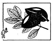 Иллюстрация к книге — Школа выживания. Как избежать голодной смерти [_45.jpg]