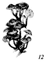 Иллюстрация к книге — Школа выживания. Как избежать голодной смерти [_65.jpg]