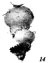 Иллюстрация к книге — Школа выживания. Как избежать голодной смерти [_67.jpg]