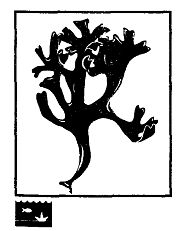 Иллюстрация к книге — Школа выживания. Как избежать голодной смерти [_71.jpg]