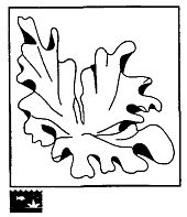 Иллюстрация к книге — Школа выживания. Как избежать голодной смерти [_73.jpg]