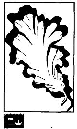 Иллюстрация к книге — Школа выживания. Как избежать голодной смерти [_76.jpg]