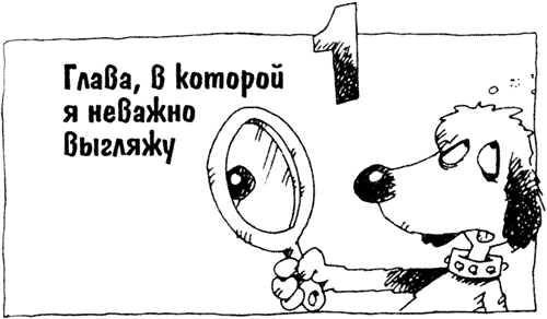 Иллюстрация к книге — Суперсыщик Освальд [i_001.png]