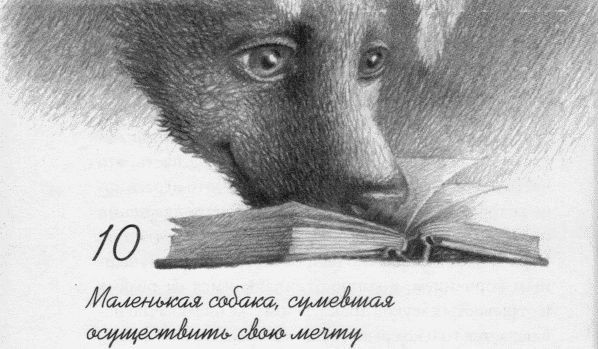 Иллюстрация к книге — Пес по имени Бу [i_012.jpg]