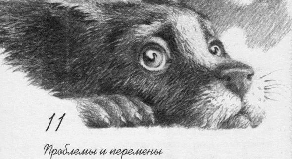 Иллюстрация к книге — Пес по имени Бу [i_013.jpg]