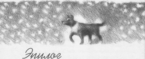 Иллюстрация к книге — Пес по имени Бу [i_015.jpg]