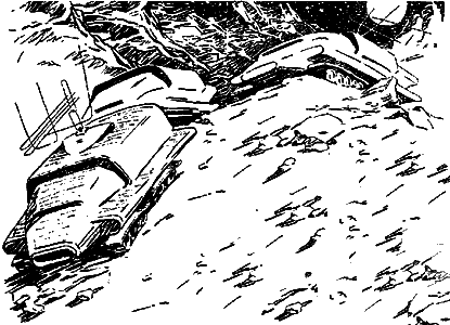 Иллюстрация к книге — Гианэя [gianeia7a.png]