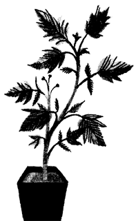 Иллюстрация к книге — Подземелья Дикого леса [i_004.png]