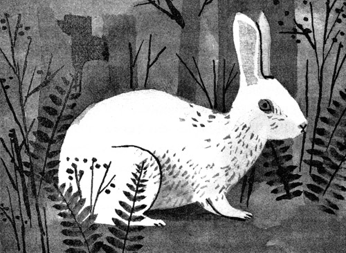 Иллюстрация к книге — Подземелья Дикого леса [i_042.jpg]