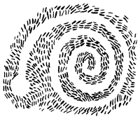 Иллюстрация к книге — Подземелья Дикого леса [i_050.png]