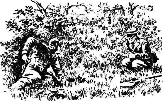 Иллюстрация к книге — Тайные тропы [img_10.jpg]