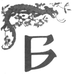 Иллюстрация к книге — Шпион из Калькутты. Амалия и генералиссимус [i_023.png]