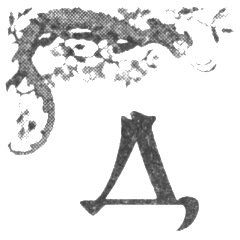 Иллюстрация к книге — Шпион из Калькутты. Амалия и генералиссимус [i_028.png]