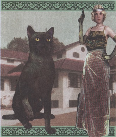 Иллюстрация к книге — Шпион из Калькутты. Амалия и генералиссимус [i_030.jpg]