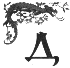 Иллюстрация к книге — Шпион из Калькутты. Амалия и генералиссимус [i_032.png]