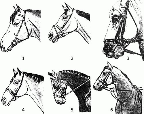 Иллюстрация к книге — Другая история войн. От палок до бомбард [i_059.jpg]