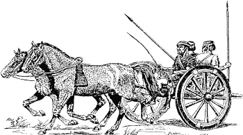 Иллюстрация к книге — Другая история войн. От палок до бомбард [i_066.png]