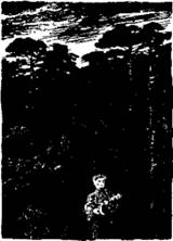 Иллюстрация к книге — Медная пуговица [any2fbimgloader23.jpeg]