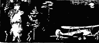 Иллюстрация к книге — Медная пуговица [any2fbimgloader25.png]