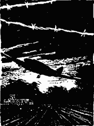 Иллюстрация к книге — Медная пуговица [any2fbimgloader63.png]