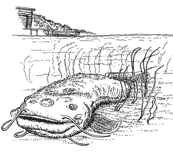 Иллюстрация к книге — Разделить на сто [_20.jpg]