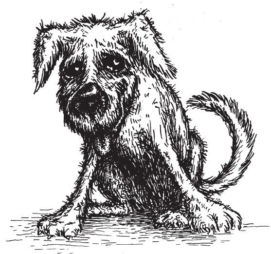 Иллюстрация к книге — Разделить на сто [_44.jpg]