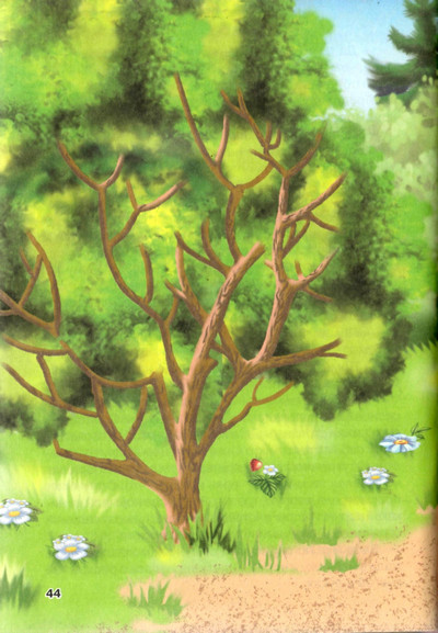 Иллюстрация к книге — Пропавшие буквы, или Алёша Попов в Муми-доле [i_017.jpg]