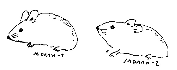 Иллюстрация к книге — Рико, Оскар и тени темнее темного [_020.jpg]