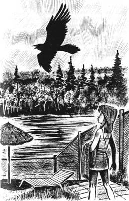 Иллюстрация к книге — Дело о черном вороне [pic_2.jpg]