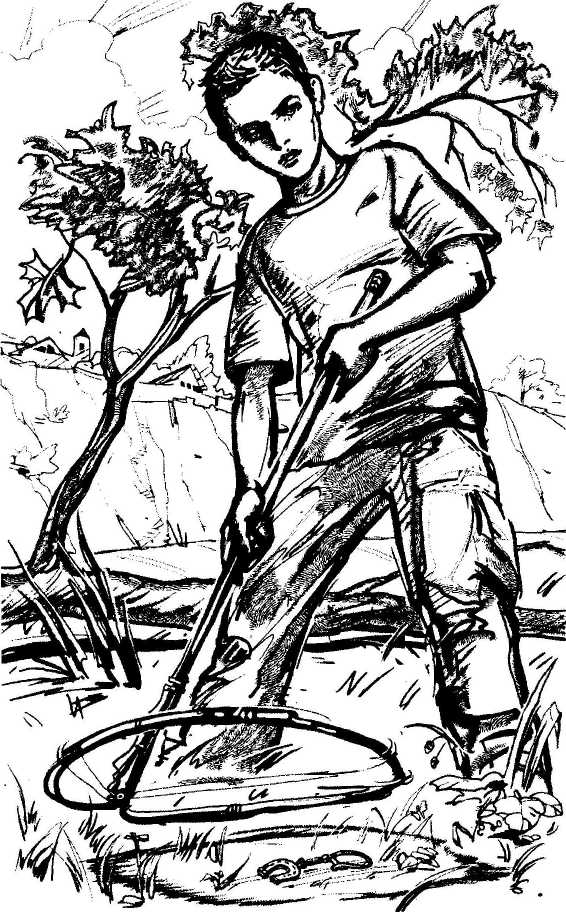 Иллюстрация к книге — Дело о небесном паруснике [i_002.jpg]