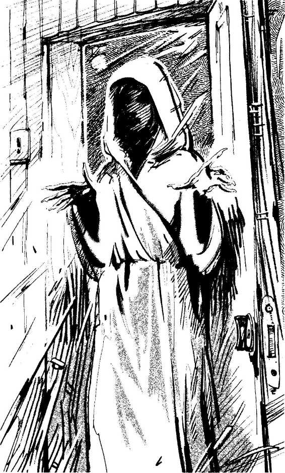 Иллюстрация к книге — Дело о небесном паруснике [i_003.jpg]