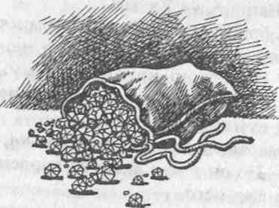 Иллюстрация к книге — Мансарда на углу Бейкер-стрит [i_013.jpg]