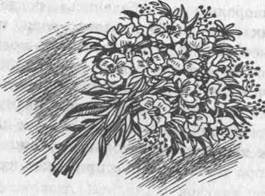 Иллюстрация к книге — Мансарда на углу Бейкер-стрит [i_022.jpg]