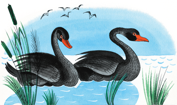 Иллюстрация к книге — Приключения Васи Куролесова [i_007.png]