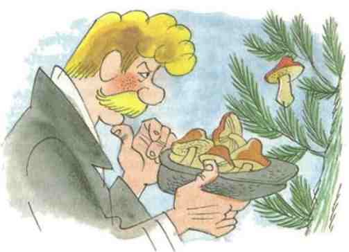 Иллюстрация к книге — Куролесов и Матрос подключаются [i_014.jpg]